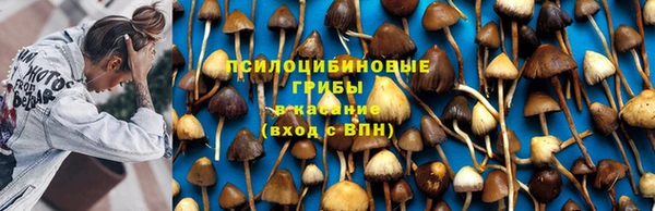 мет Абаза