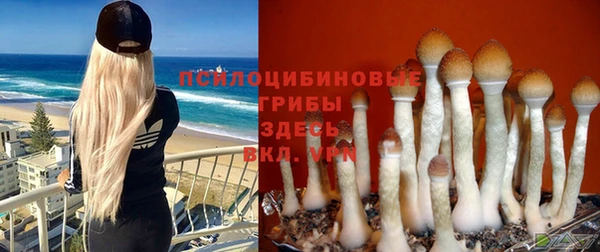 apvp Абинск