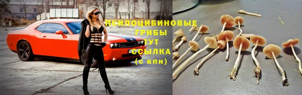 apvp Абинск
